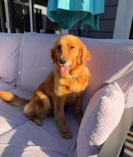 REMI